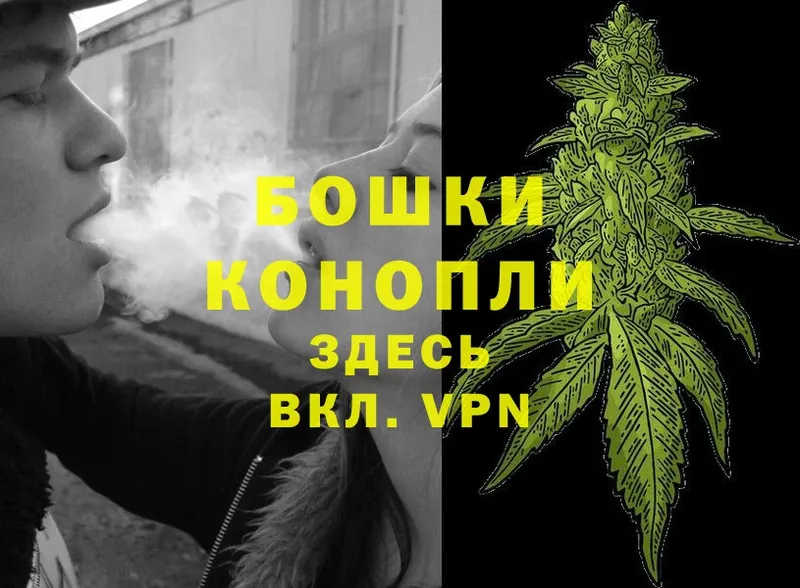 Бошки марихуана OG Kush  Разумное 